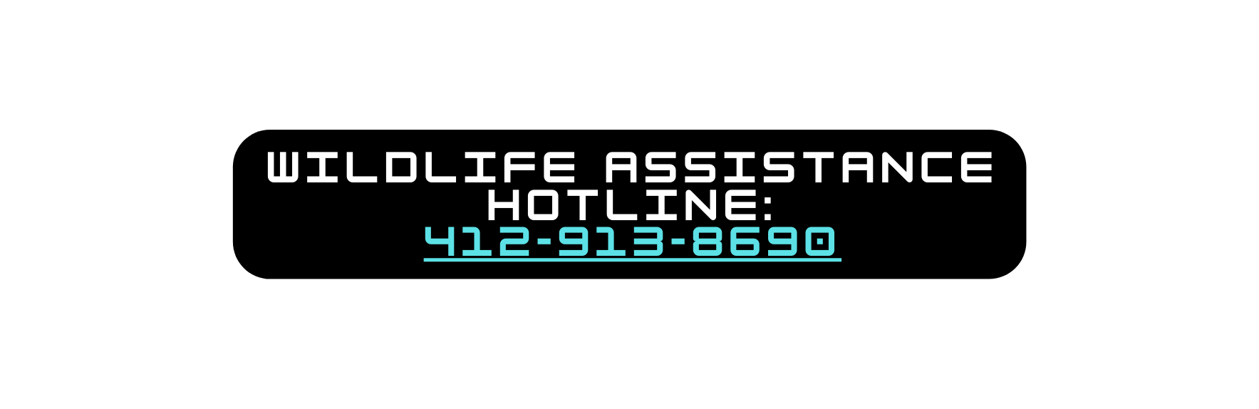 Wildlife Assistance Hotline 412 913 8690